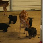 Rocking R RV Park - Brady, Texas