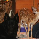 Rocking R RV Park - Brady, Texas