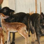 Rocking R RV Park - Brady, Texas