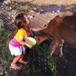 Rocking R RV Park - Brady, Texas - Dozer