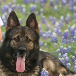 Rocking R RV Park - Brady, Texas - Samer
