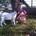 Rocking R RV Park - Brady, Texas